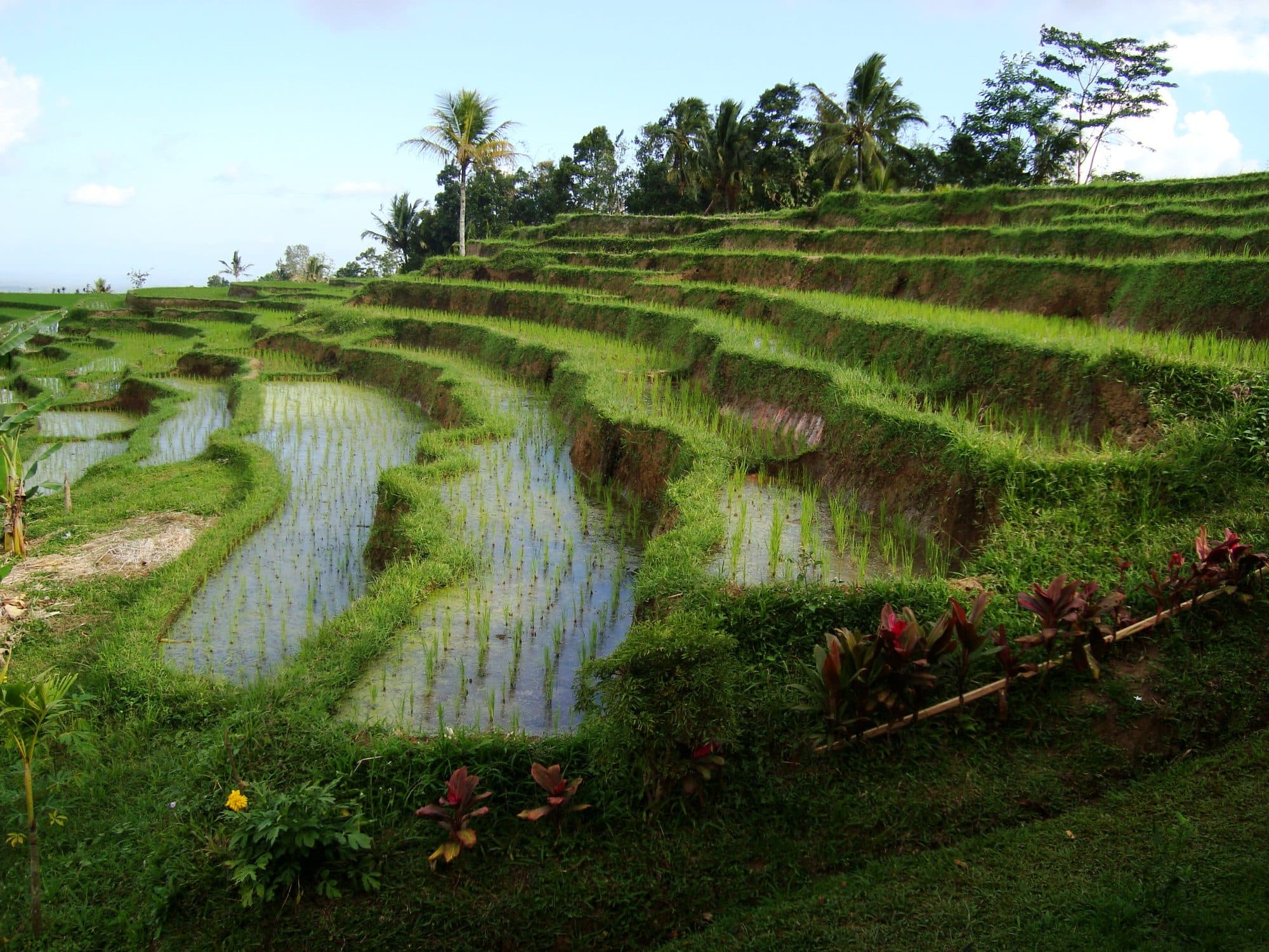 Bali, Indonesia